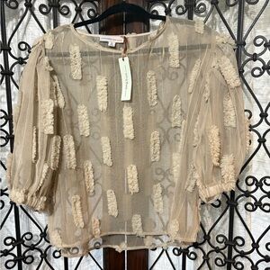 Elegant Sheer Textured Blouse
